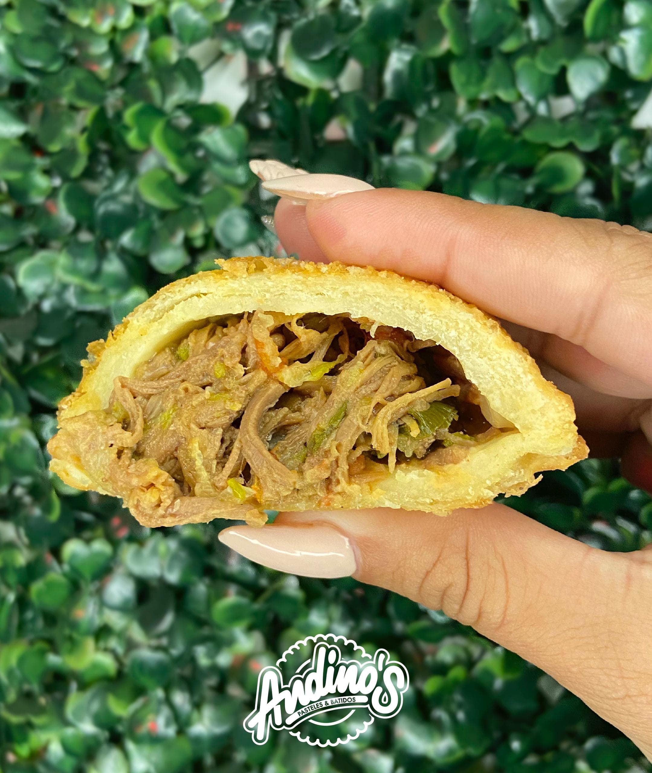 Pastelito Mechada