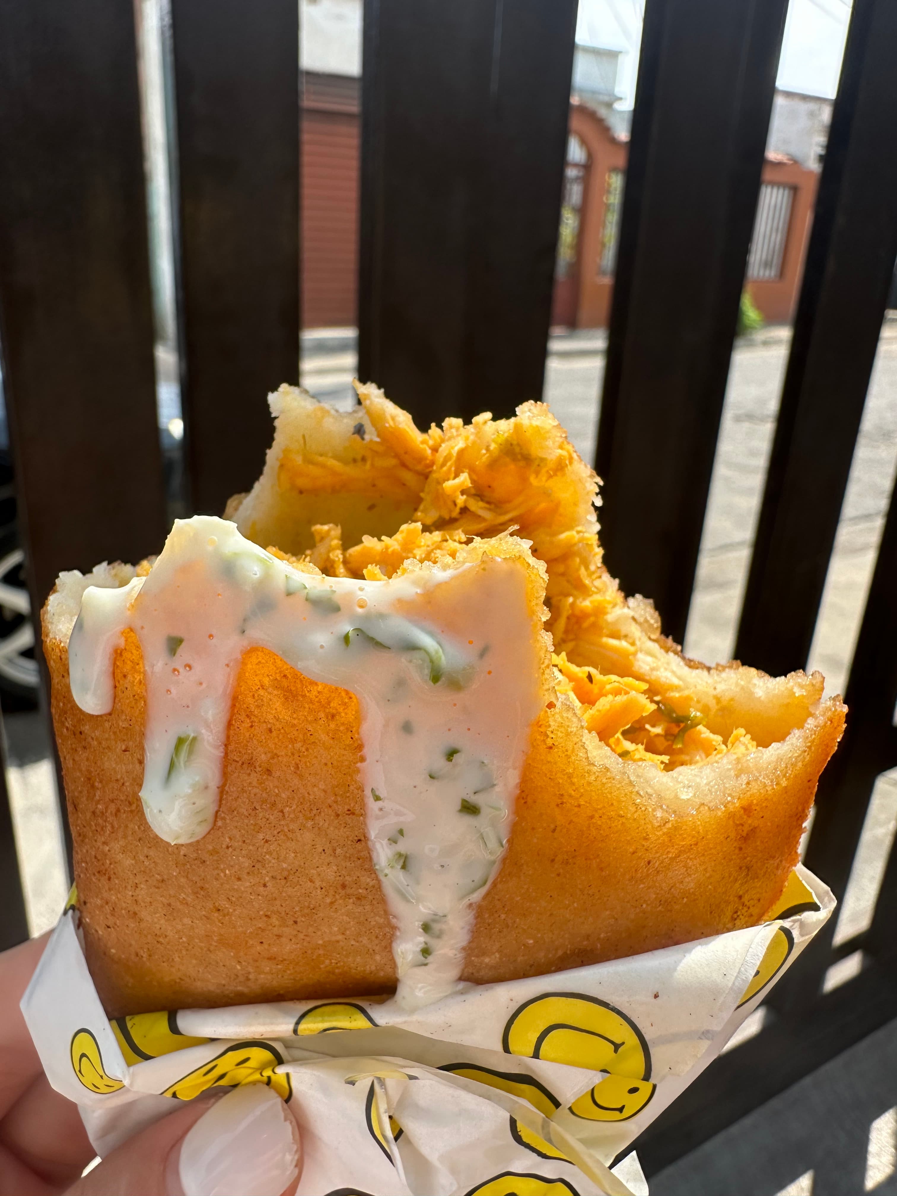 Empanada de pollo
