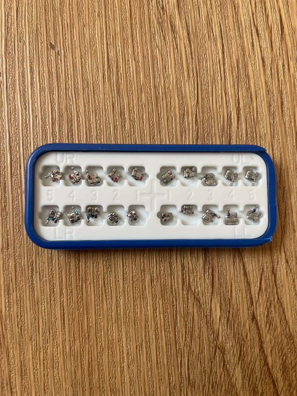 Caso Roth Base Mesh