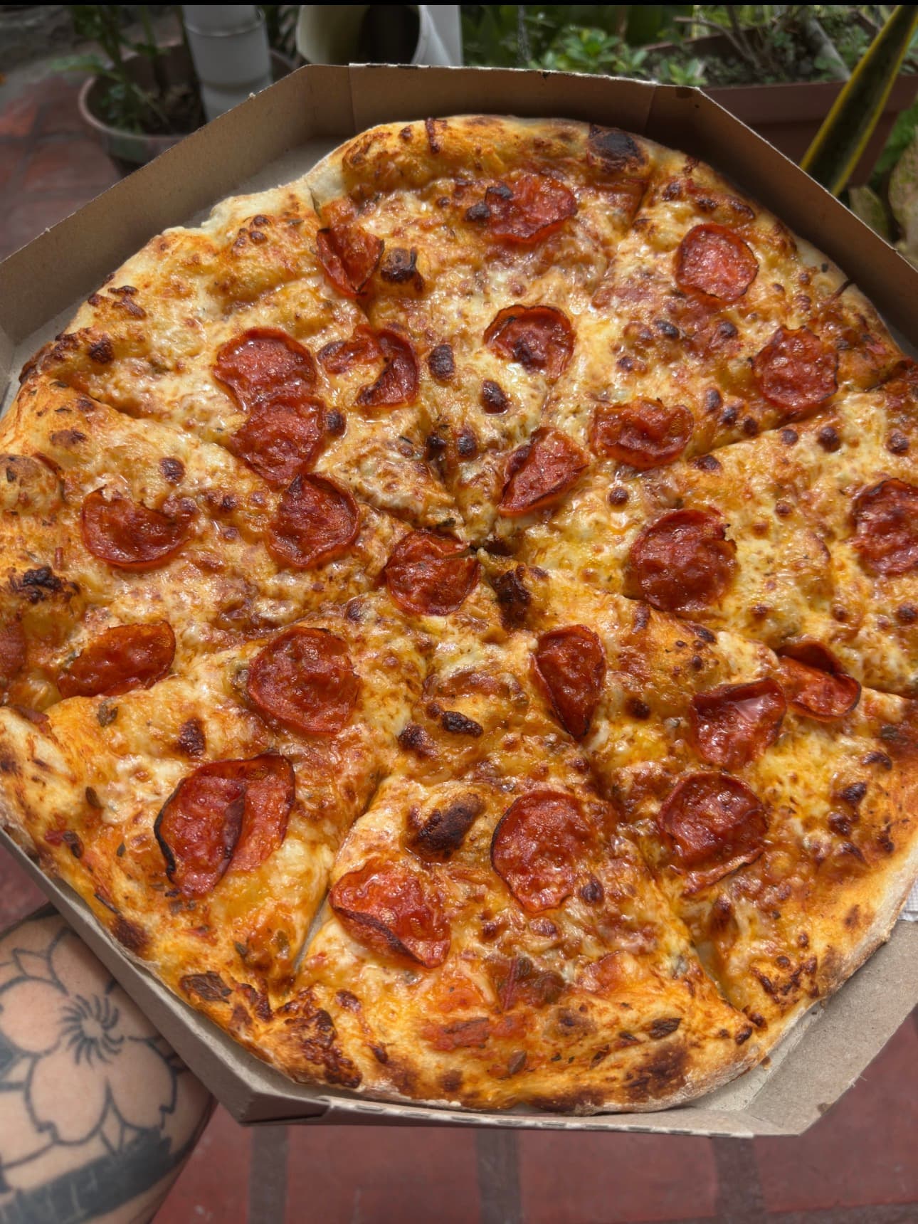 Resuelve Pepperoni 40Cm